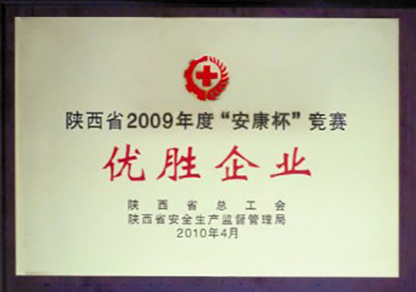 陜西2009年度“安康杯”競賽優(yōu)勝企業(yè)